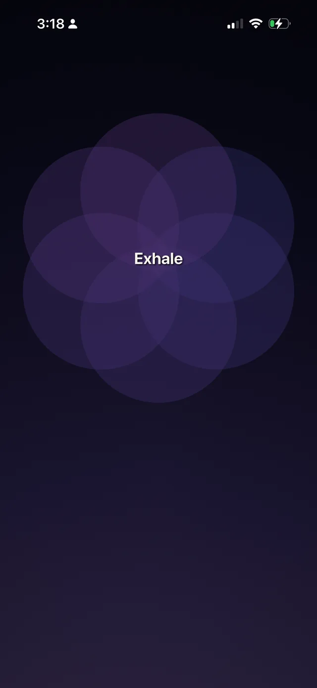 A calming circle bloom animation during an exhale