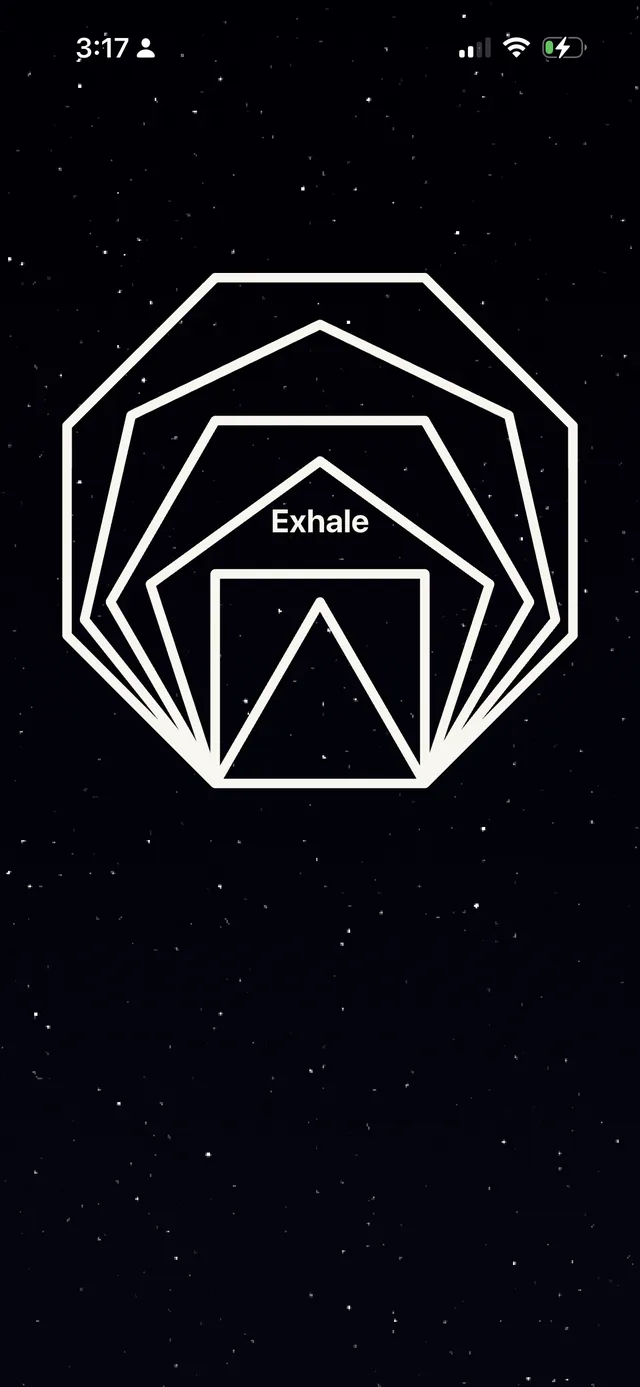 Octagon breathing animation under a starry night sky